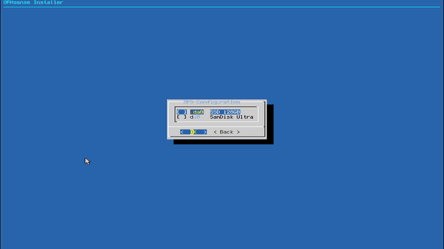 opnsense-zfs-disk